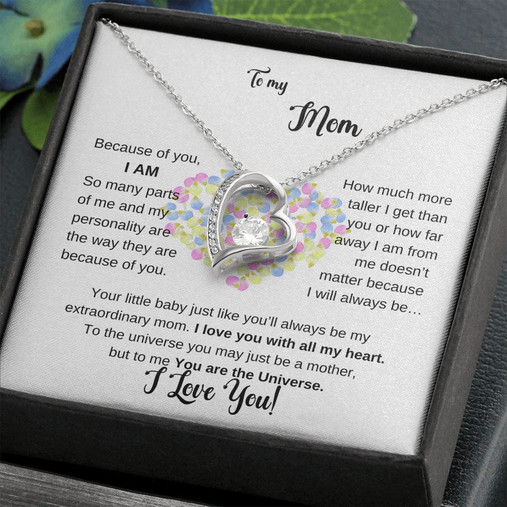 To my Mom - Because of you I AM - Forever Love Necklace